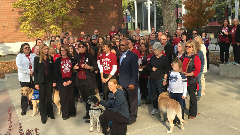 Images/E-News/2018/chico crop.jpg